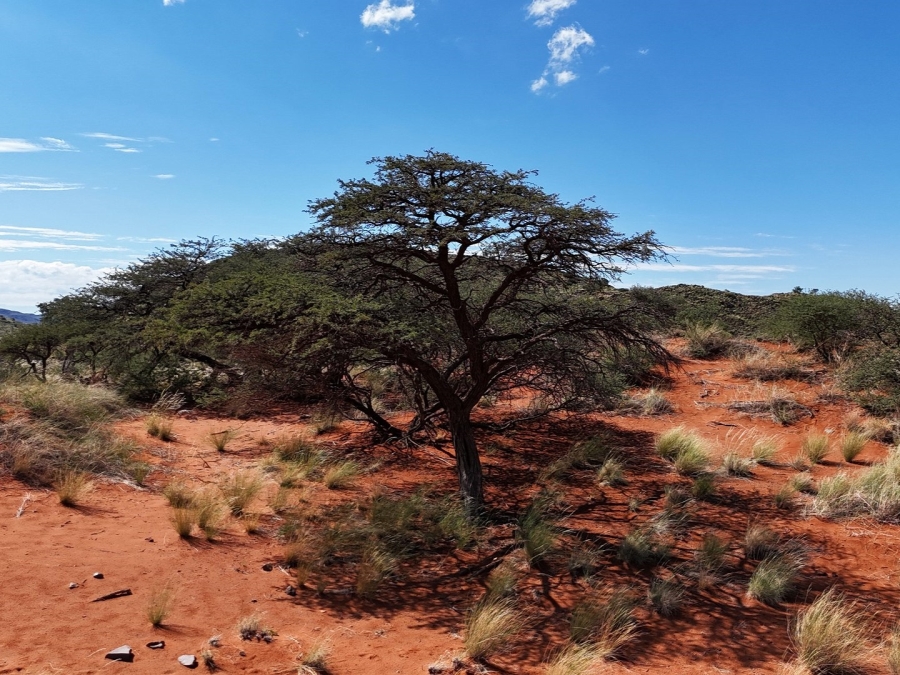 Commercial Property for Sale in Griekwastad Rural Northern Cape